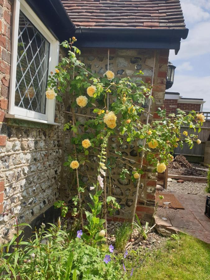 Delightful Cottage On The River Adur Close To Brighton & The Downs No Dogs Sorry Upper Beeding Eksteriør bilde